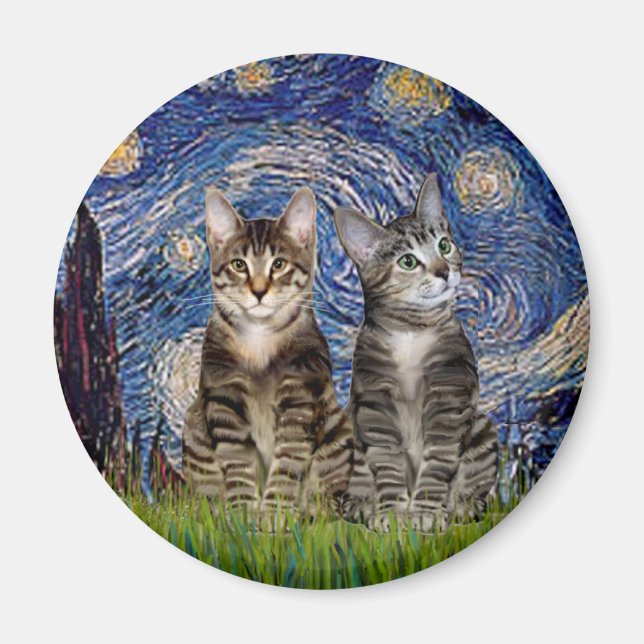 Aimant Nuit étoilée - Deux chats tigrés tabby (Devant)