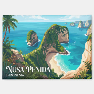 Aimant Nusa Penida Indonésie