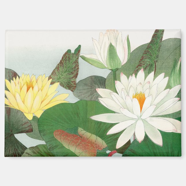 Aimant Nymphaea lotus, gravure sur bois japonaise, 1917 (Recto)