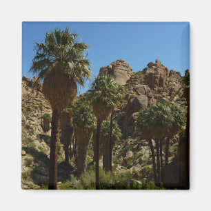 Aimant Oasis Lost Palms I dans le Parc national de Joshua