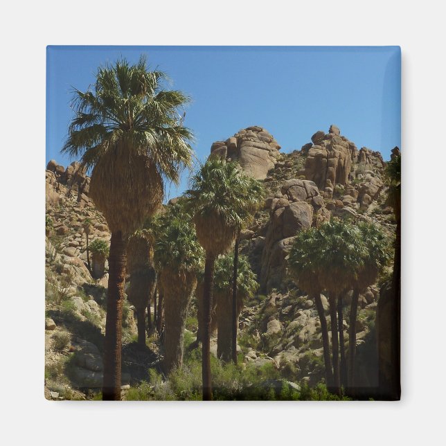 Aimant Oasis Lost Palms I dans le Parc national de Joshua (Devant)