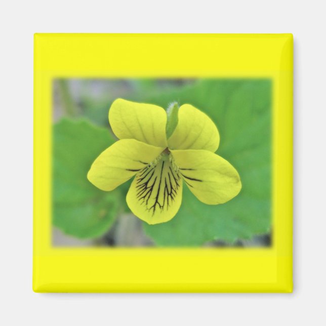Aimant Objets de coordination de violette jaune sauvage (Devant)