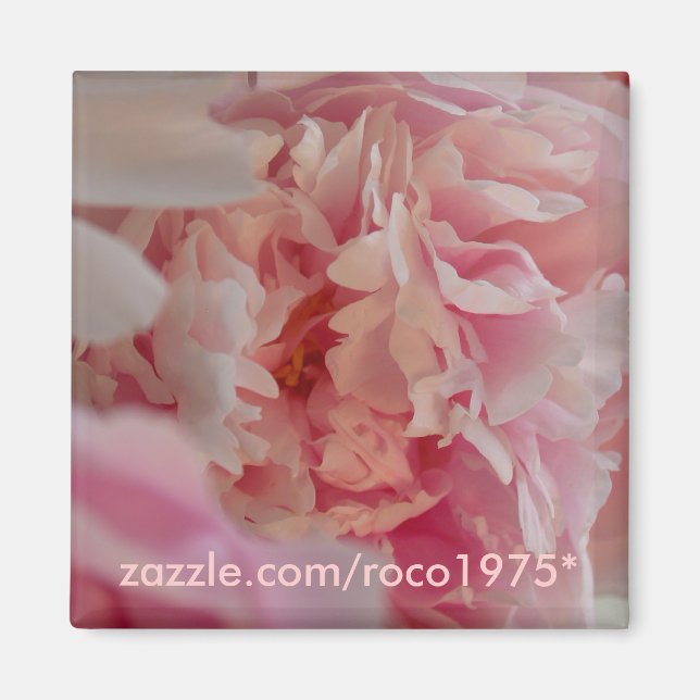 Aimant Occhiata (Devant)