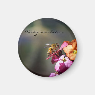 Aimant Occupé comme une récompense d'abeille...