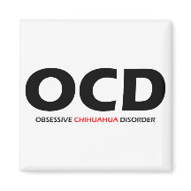OCD - Trouble obsessionnel du Chihuahua