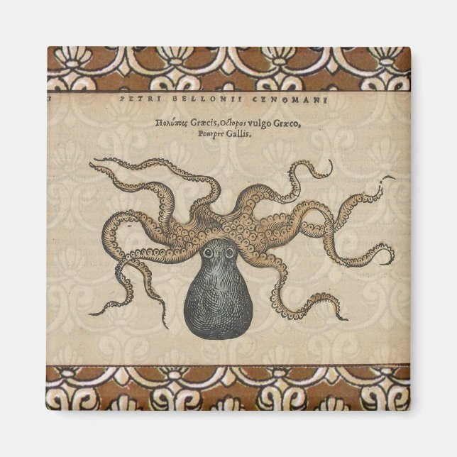 Aimant Octopus Kraken Illustration Vintage (Devant)