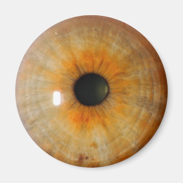 Aimant oeil brumeux aux épaves (Devant)