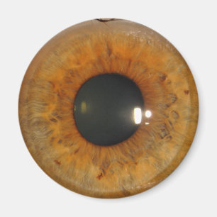 Aimant Oeil brun