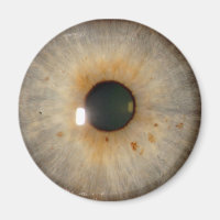 oeil brun clair