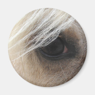 Aimant Œil de cheval Palomino