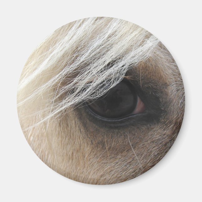 Aimant Œil de cheval Palomino (Devant)
