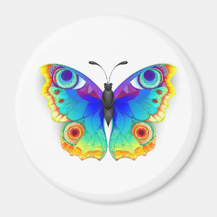 Aimant Oeil de paon arc-en-ciel