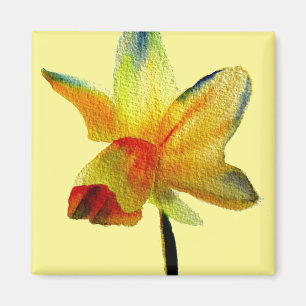 Aimant OEuvre d'aquarelle jaune Daffodique Fleur de print