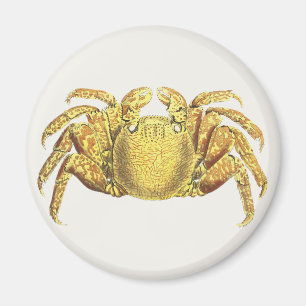 Aimant Œuvre d'art côtière vintage nautique crabe variegé