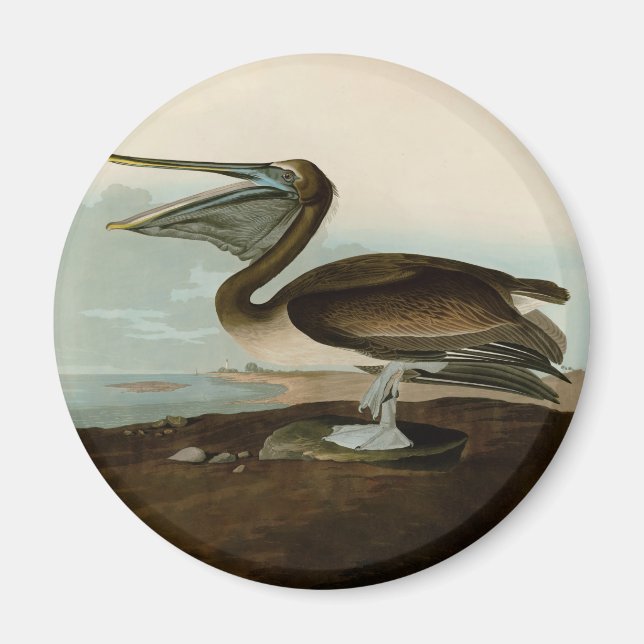 Aimant Œuvre d'art de Pélican Brun de John James Audubon  (Devant)