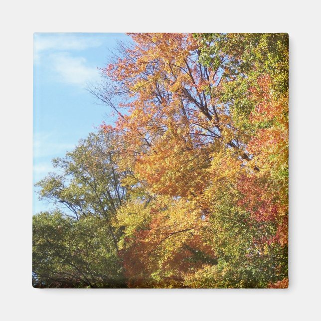 Aimant Ohio, automne n°3 (Devant)