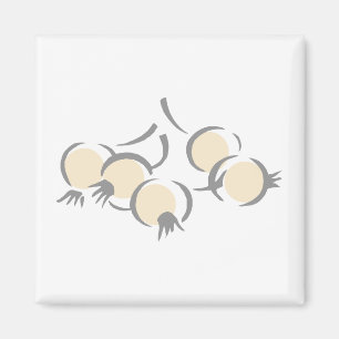 Aimant Oignons de perle