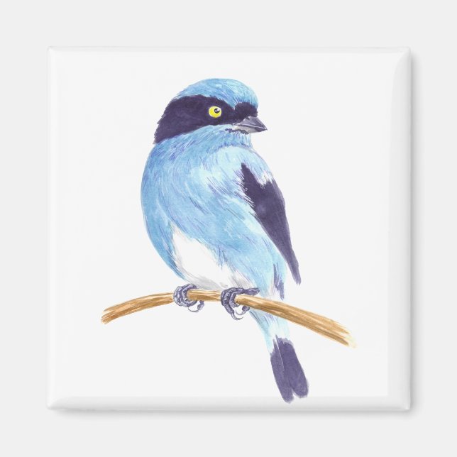 Aimant Oiseau bleu (Devant)