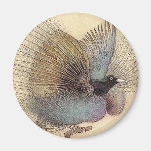 Aimant Oiseau d'aimant d'art de paradis