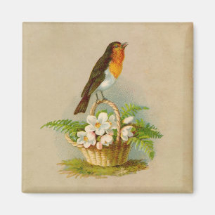 Aimant Oiseau de printemps sur le panier