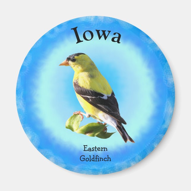 Aimant Oiseau d'État de l'Iowa (Devant)