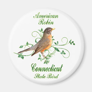 Aimant Oiseau d'état de Robin le Connecticut
