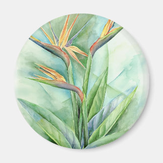 Aimant Oiseau Fleur Tropical De Peinture Paradisiaque - M