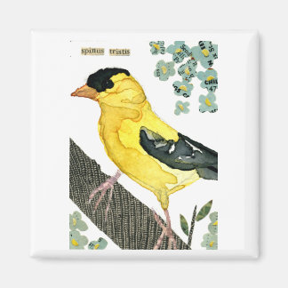 Aimant Oiseau : Goldfinch