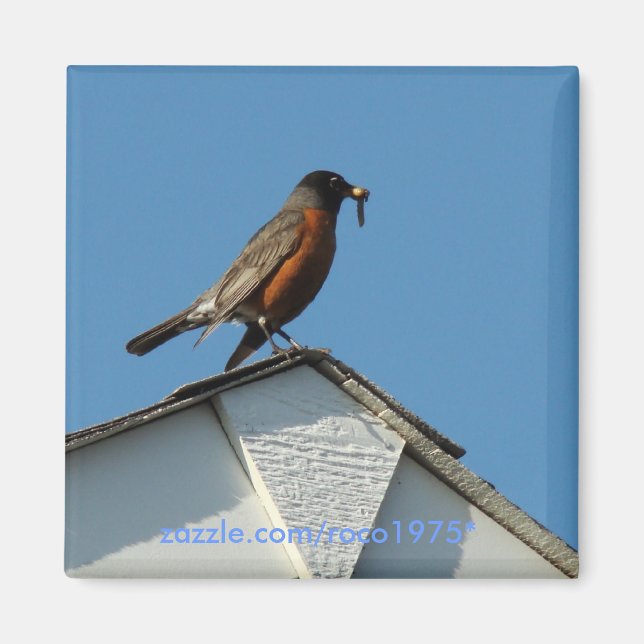 Aimant Oiseau précoce (Devant)