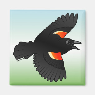 Aimant Oiseau roux volant