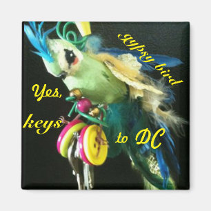 Aimant Oiseau tzigane