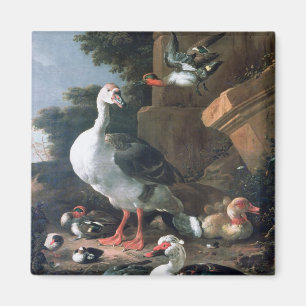 Aimant Oiseaux aquatiques dans un paysage classique,