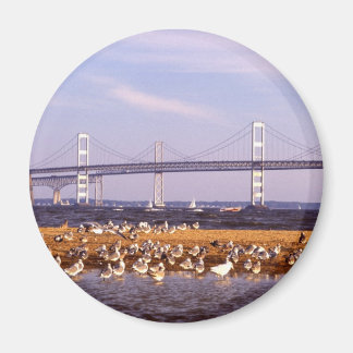 Aimant Oiseaux de la baie de Chesapeake