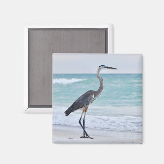Aimant oiseaux de plage de Floride