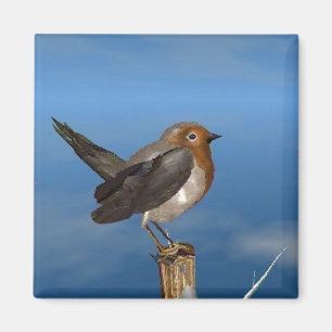 AIMANT OISEAUX HYPER / ROBIN BREAST ROUGE