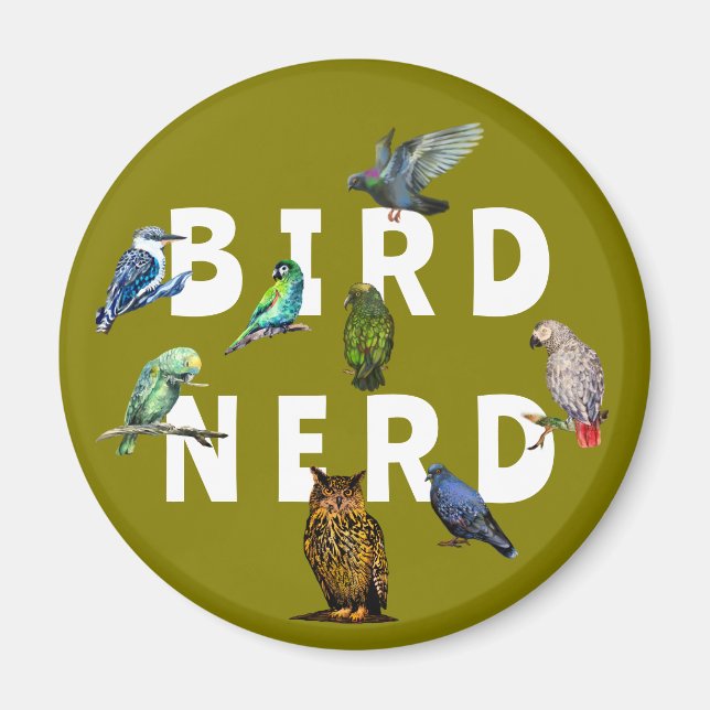 Aimant OISEAUX NERD, perroquets, hibou, pigeons, kookabur (Devant)