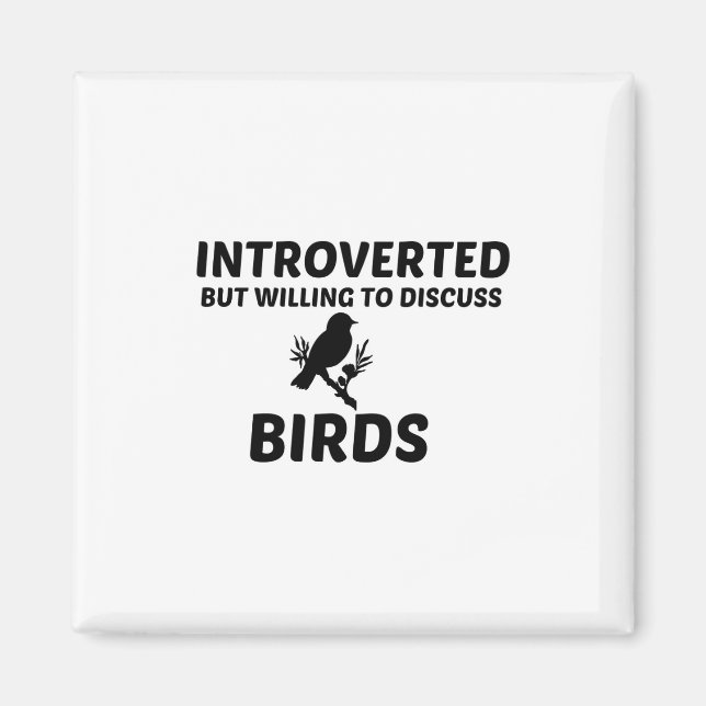 AIMANT OISEAUX PRÉSENTÉS MAIS PRÊTS À DISCUTER (Devant)