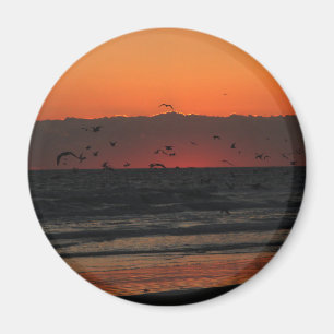 Aimant Oiseaux survolant le coucher du soleil sur l'océan