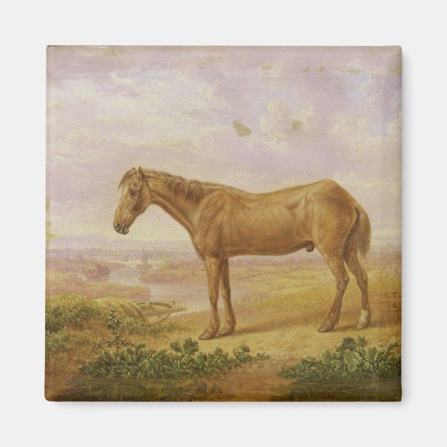 Aimant Old Billy, un chevalier à bascule, 62 ans (huile s (Devant)