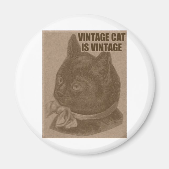 Aimant Olde LOLcat (Devant)