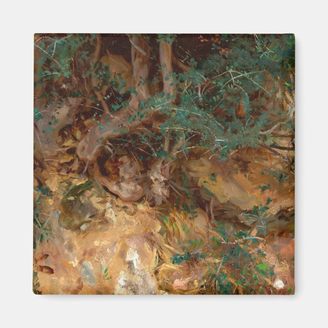 Aimant Olive Tree Roots, 1908 par John Singer Sargent (Devant)
