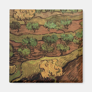 Aimant Oliviers de Van Gogh contre la pente d'une colline