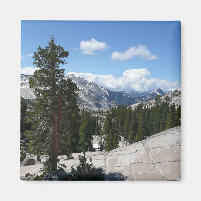 Aimant Olmsted Point III dans le parc national de Yosemit (Devant)
