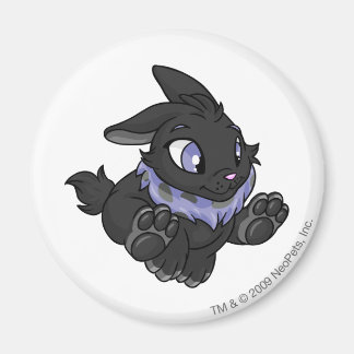 Aimant Ombre cybunny