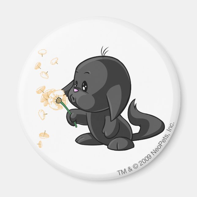 Aimant Ombre Kacheek (Devant)