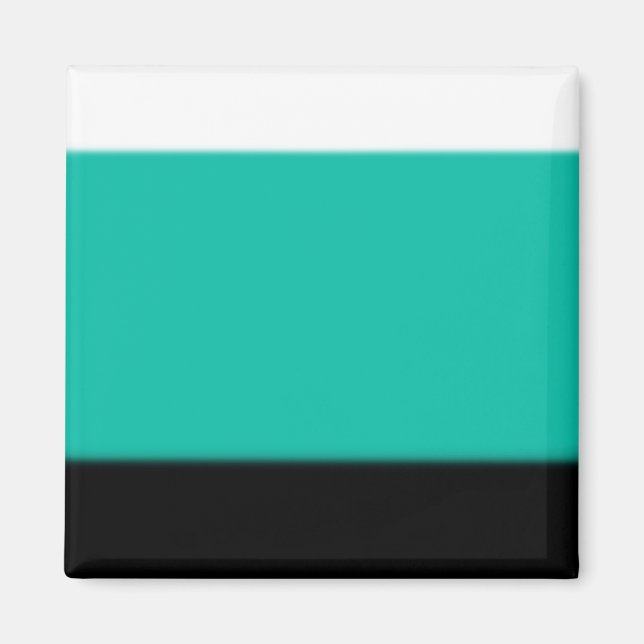 Aimant Ombre turquoise (Devant)