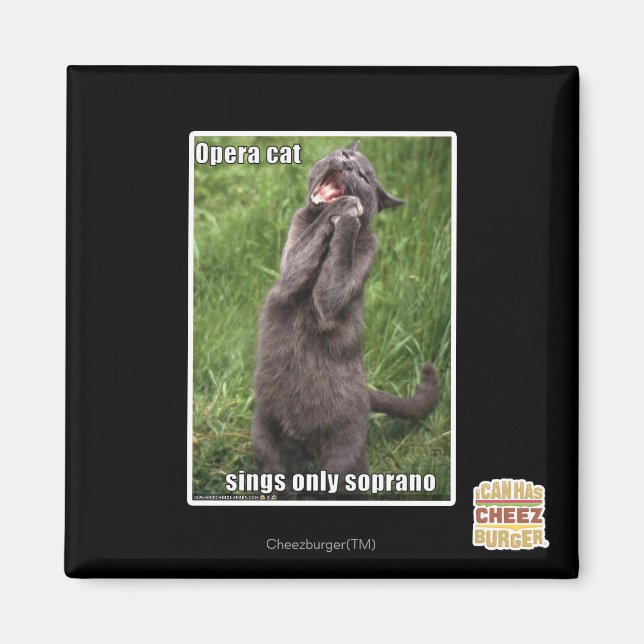 Aimant Opera Cat (Devant)