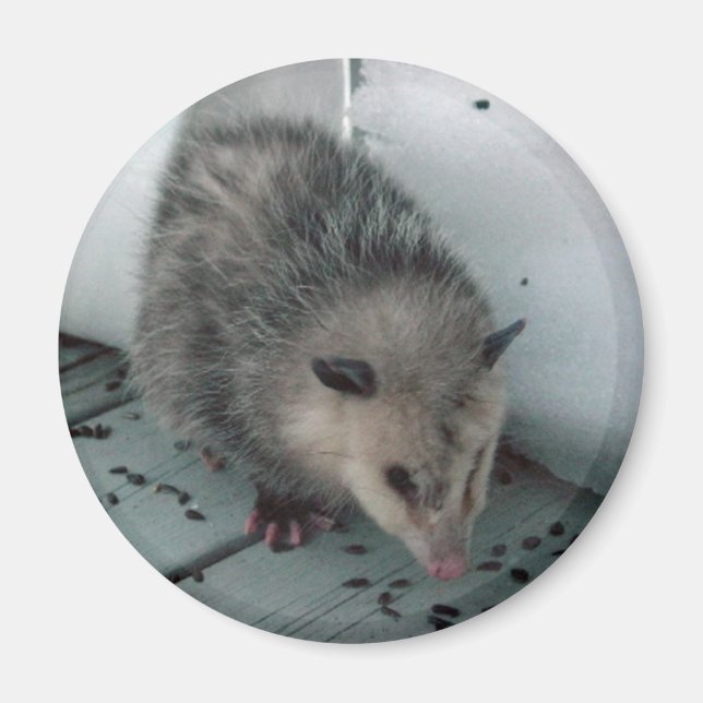 Aimant opossum (Devant)