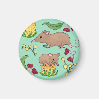 Aimant Opossum miel