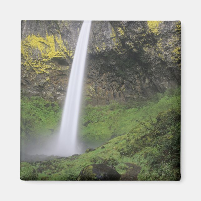 Aimant OR, Columbia River Gorge, Elowah Falls, McCord 2 (Devant)